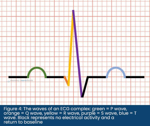 Figure-4-captionedv2