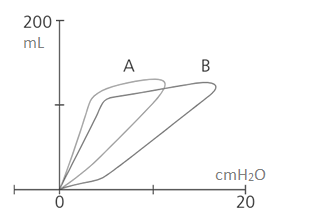 Flow Loop