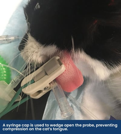 Syringe-Cap-captioned